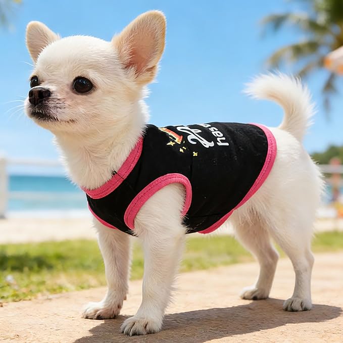 4 Pack Dog Shirt for Small Dogs Spring Summer Printed Puppy Clothes Cute Pet T - Image 4