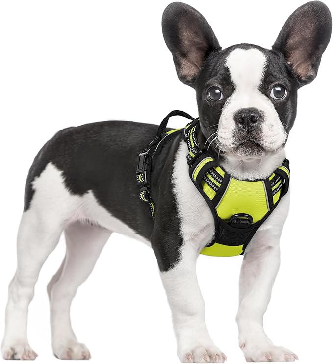 rabbitgoo Dog Harness No Pull by rabbitgoo