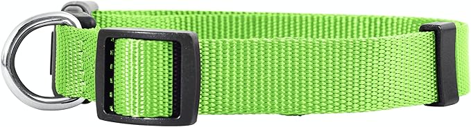 Native Pup Basic Nylon Dog Collar, Adjustable - Image 2