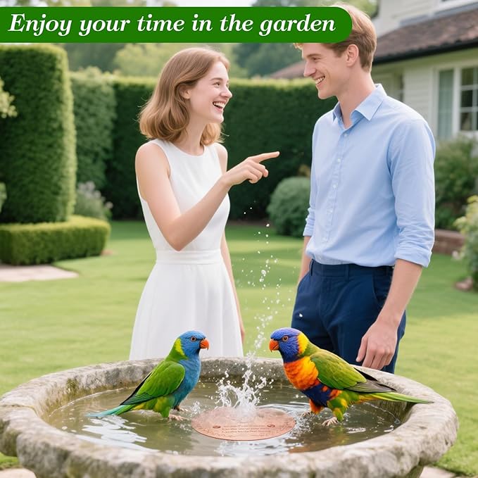 2 Pack Bird Bath Copper Disk – 1mm Thick 99.9% Pure Copper Disk, 100mm Diameter - Image 8