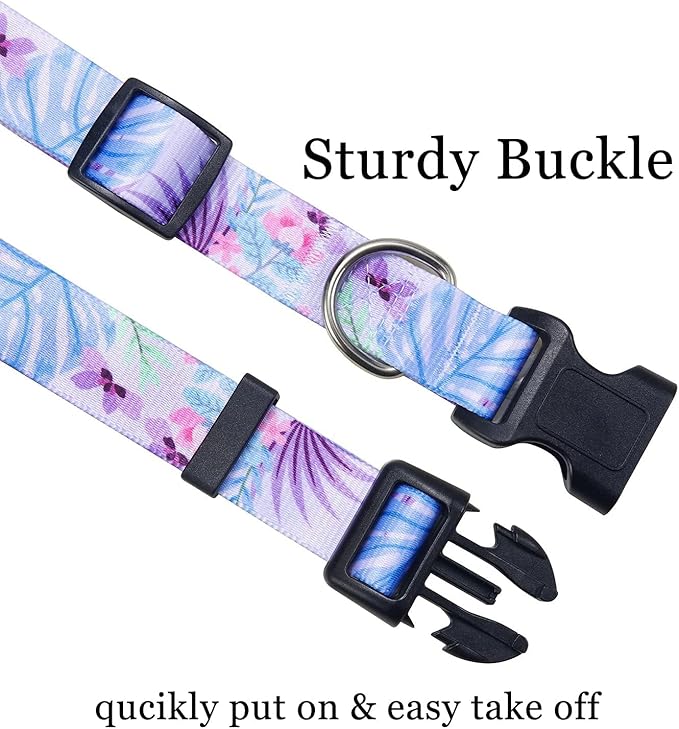 Mihqy Dog Collar and Leash Set - Image 2