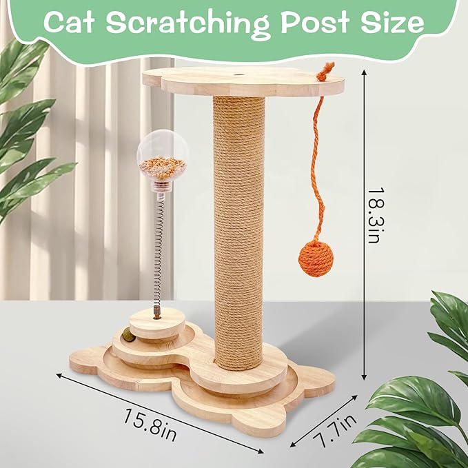 Fhiny Cat Scratching Posts, Interactive Cat Toys - Image 2