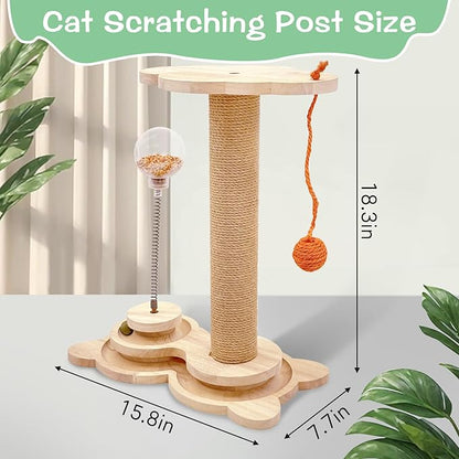 Fhiny Cat Scratching Posts, Interactive Cat Toys - Image 2