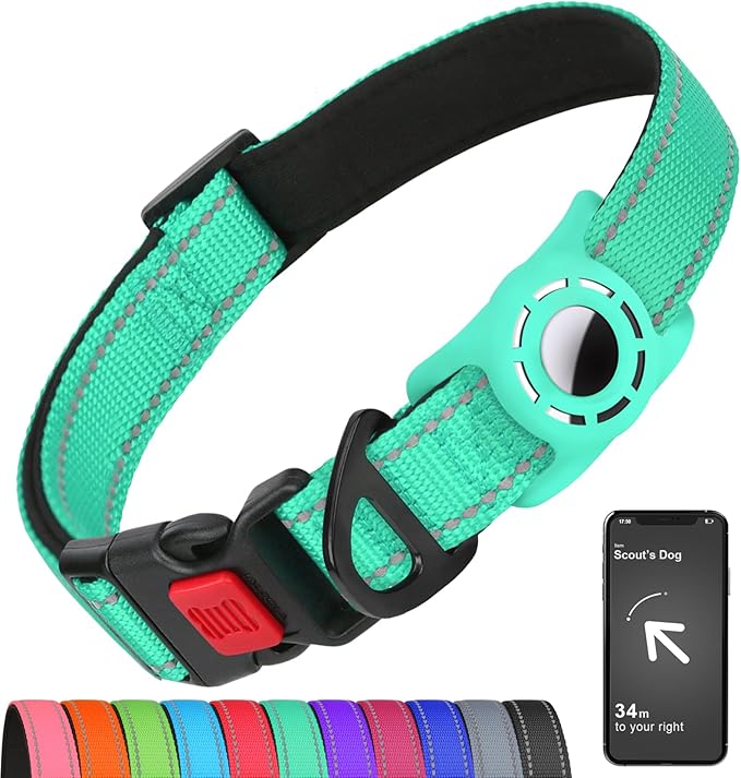 AirTag Dog Collar with AirTag Holder Compatible by Erbine