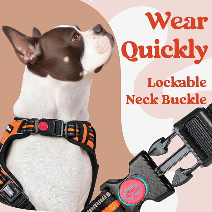 rabbitgoo Dog Harness for Large, No Pull Easy On & Off - Image 2