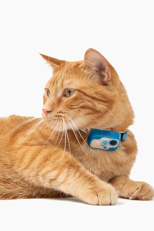 Genuine MS-5® Designer Cat Collar - Image 3