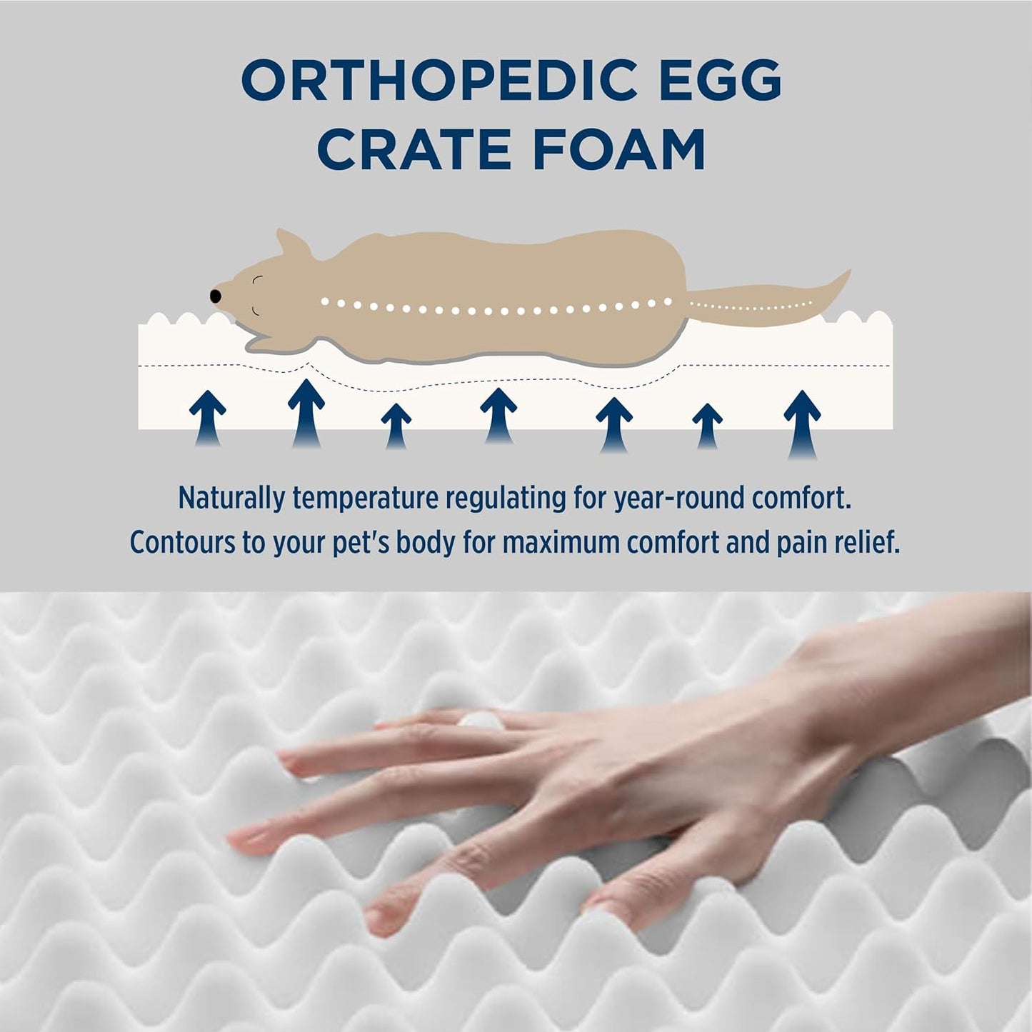 Bedsure Dog Bed for Small Dogs - XS Orthopedic Flat Puppy Beds with Removable Washable Cover, Egg Crate Foam Pet Mat, Suitable for Pet or Cats Up to 15 lbs