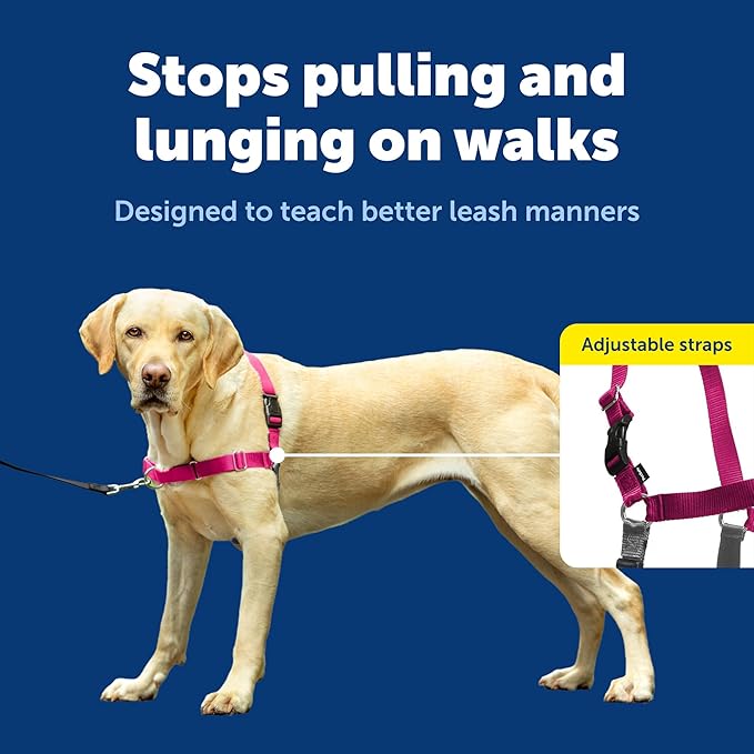 PetSafe Easy Walk No-Pull Dog Harness - Image 4