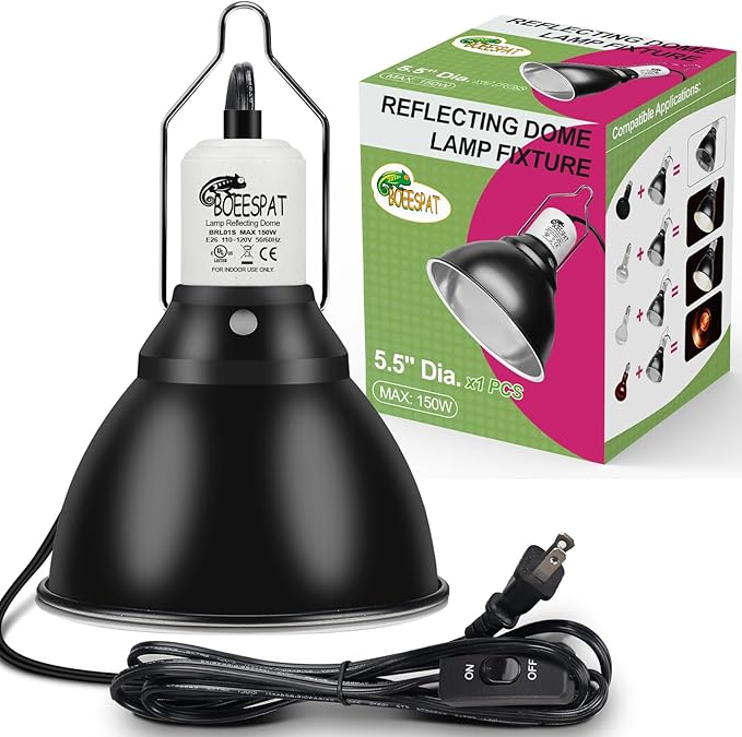 Reptile Lamp Bulb Fixture 5.5 Inch Deep Dome by BOEESPATDirect
