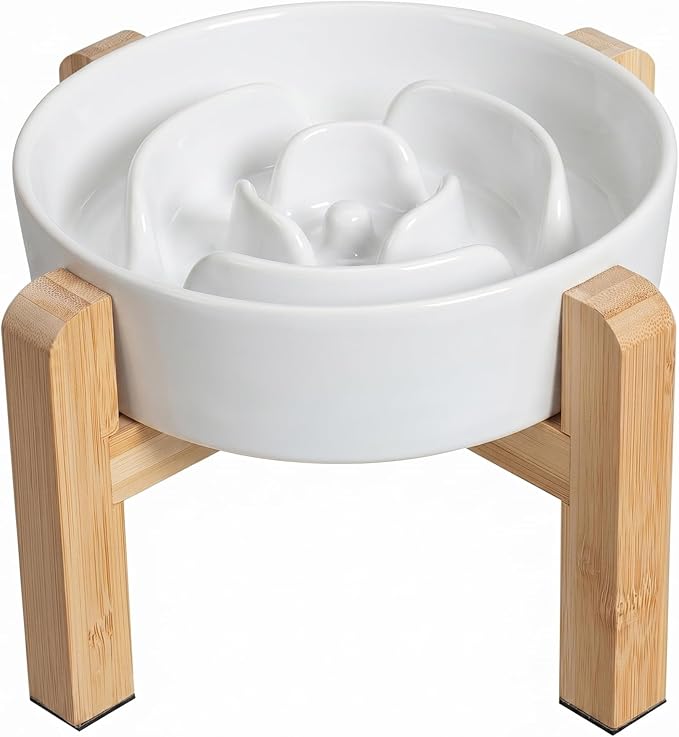 Elevated Slow Feeder Dog Bowl by PTOBER