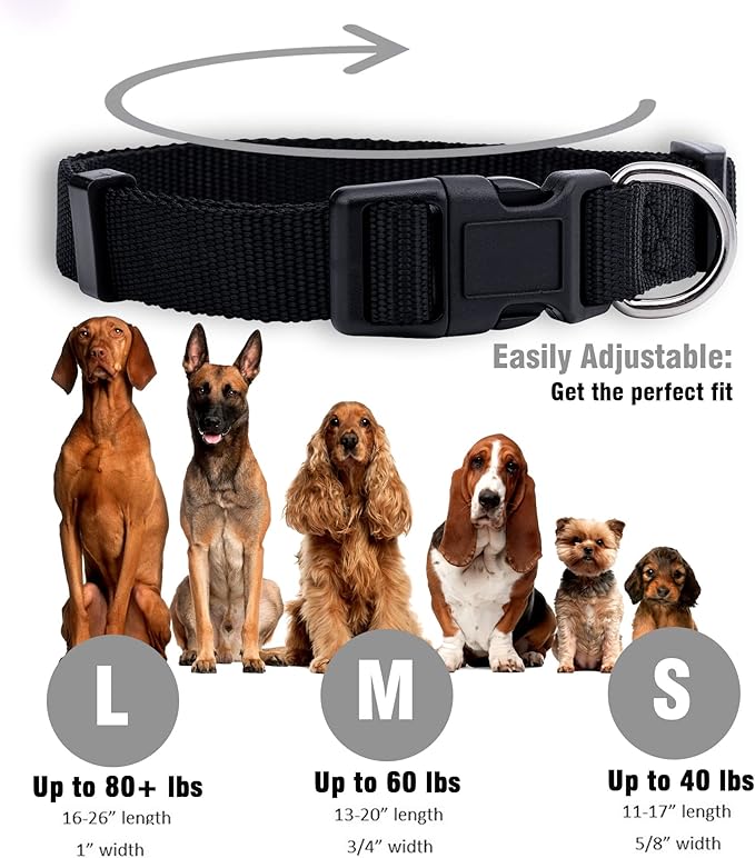 Native Pup Basic Nylon Dog Collar, Adjustable - Image 3