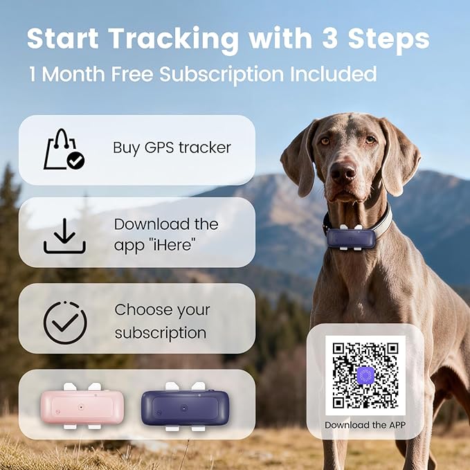 SEEWORLD 4G Pet GPS Tracker for Dogs Cats, Real-Time Location, IP67 Waterproof - Image 7