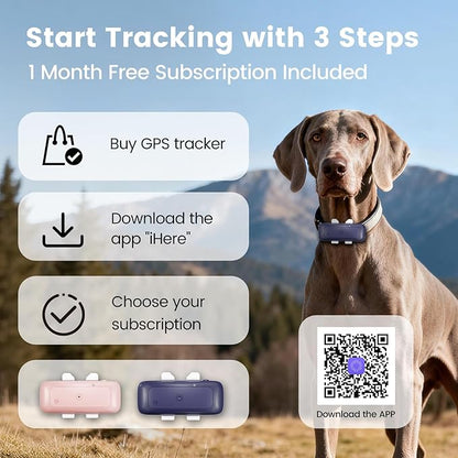 SEEWORLD 4G Pet GPS Tracker for Dogs Cats, Real-Time Location, IP67 Waterproof - Image 7