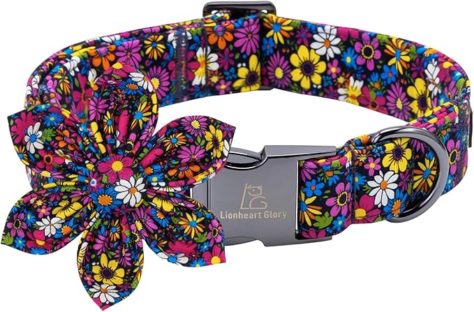 Lionheart Glory Dog Collar by LionheartGlory