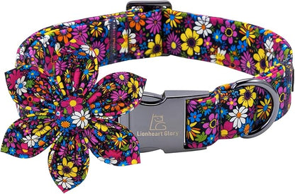 Lionheart Glory Dog Collar by LionheartGlory