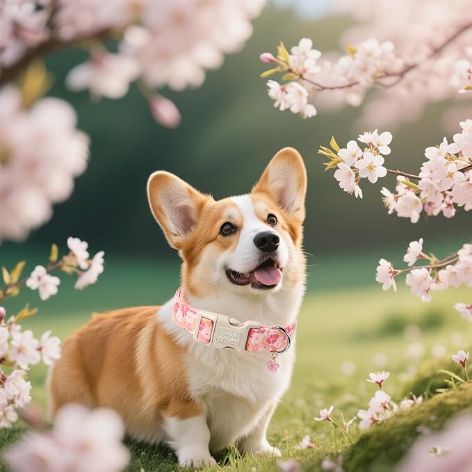 Unique style paws Dog Collar Plastic Buckle - Image 4