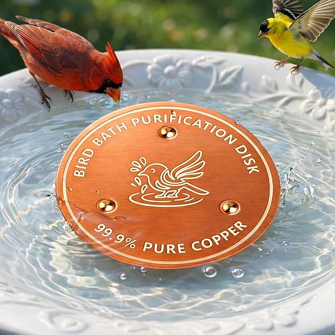 Factee Bird Bath Copper Disk – 0.6mm Thick 99.9% Pure Copper Cleaning Disk by Factee