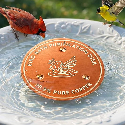 Factee Bird Bath Copper Disk – 0.6mm Thick 99.9% Pure Copper Cleaning Disk by Factee
