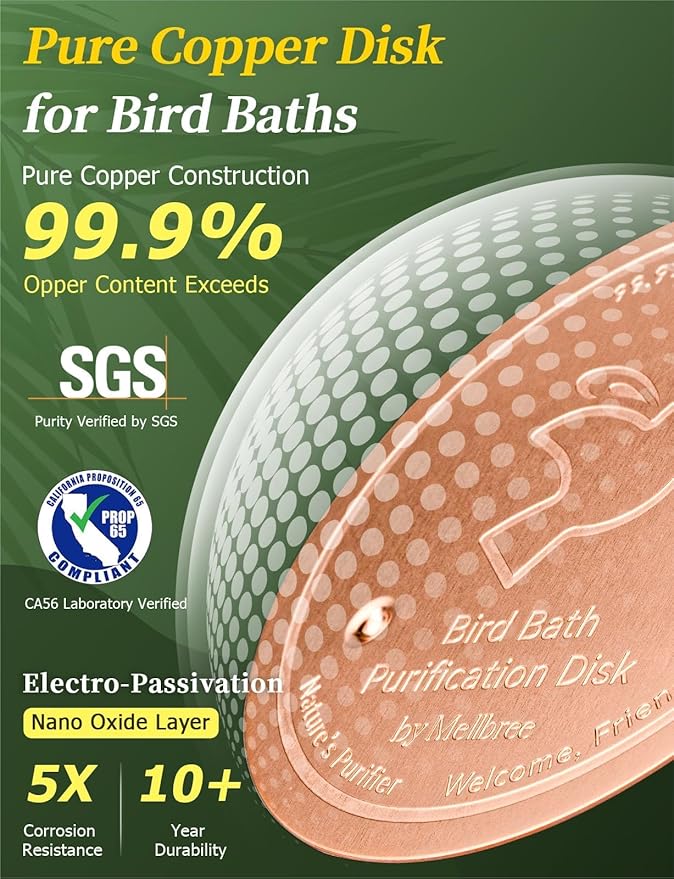 Mellbree Bird Bath Copper Disk, 0.6mm Reinforced 99.99% Pure Copper Cleaning - Image 4