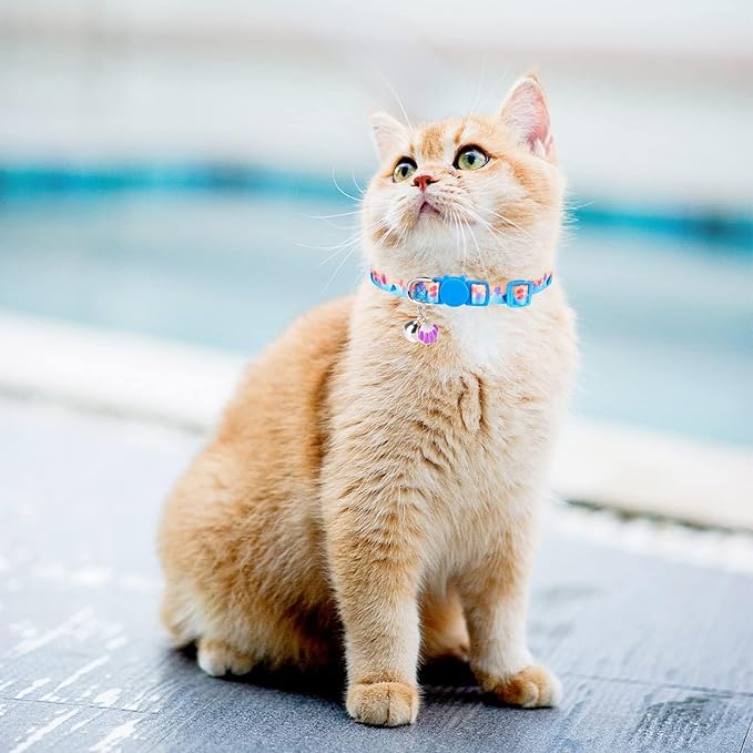 PUPTECK Cat Collar Breakaway - Image 7