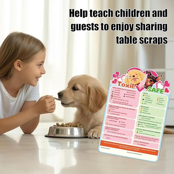 Magnetic List of Toxic & Safe Foods, 9.8x6.7in Feeding Chart Fridge Decorative - Image 6