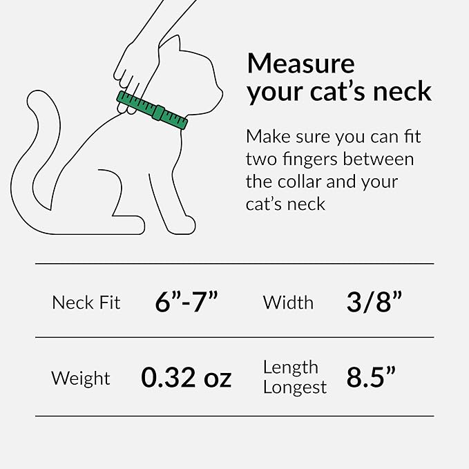 CollarDirect Leather Cat Collar - Image 4