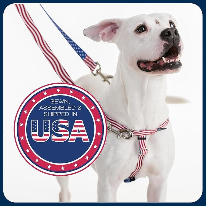 2 Hounds Design Freedom No Pull Dog Harness, Adjustable Harness, Easy Walking & - Image 6