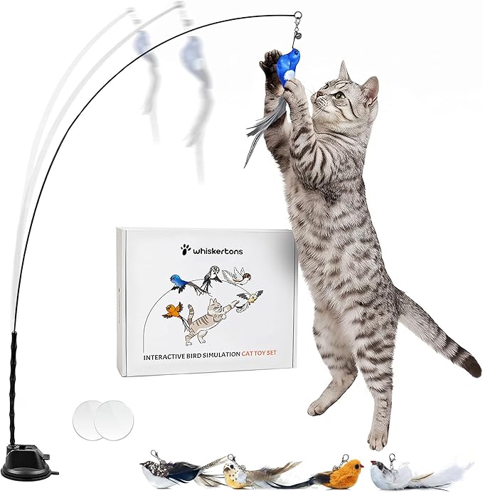 Whiskertons Interactive Bird Simulation Cat Toy Set, Interactive Cat Toys by Whiskertons