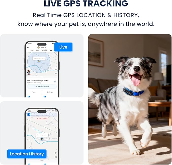 DBDD AI GPS Tracker for Dogs - Image 3