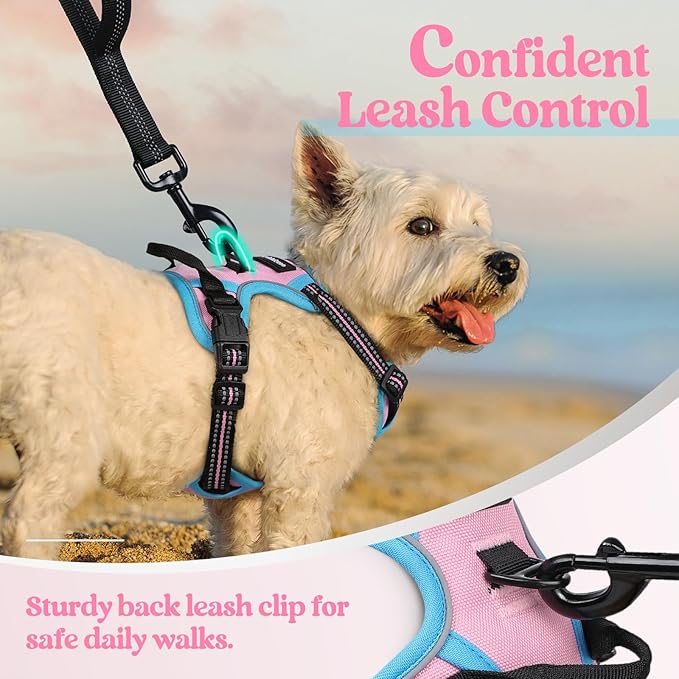 rabbitgoo Dog Harness No Pull - Image 6