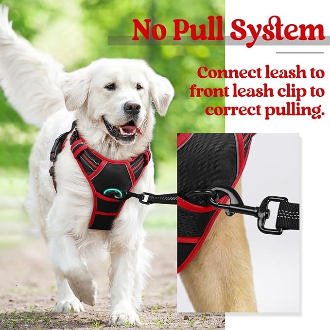 rabbitgoo Dog Harness No Pull - Image 6