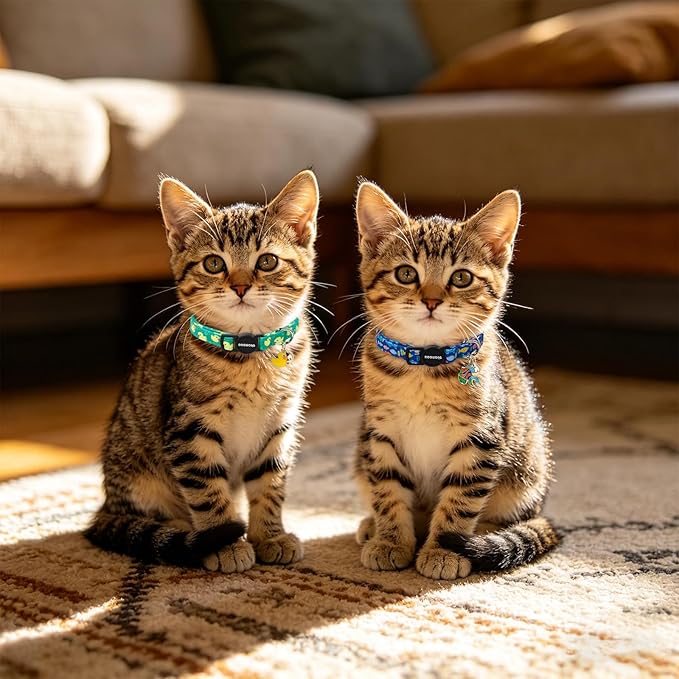 2 Pack Summer Duck Kitten Collar Breakaway - Image 5
