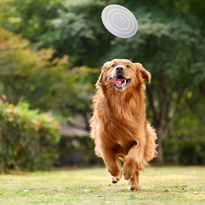 SLSON Dog Bowls Pet Collapsible Bowl - Image 7