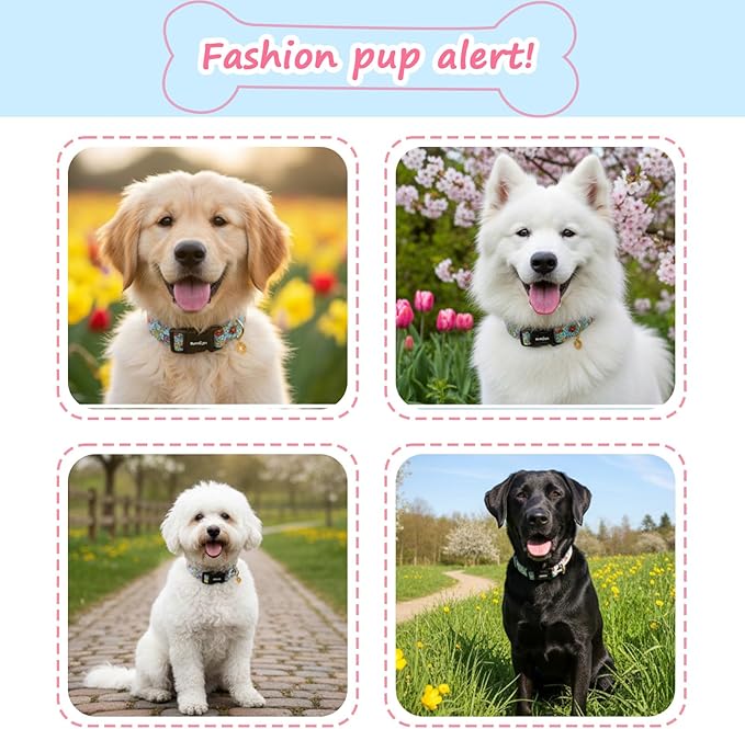 Dog Collar for Small Dogs, Spring &Summer Theme Dog Collars - Image 3