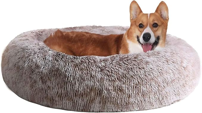 JOLLYVOGUE Dog & Cat Bed, Calming Anti-Anxiety Pet Bed by JOLLYVOGUE