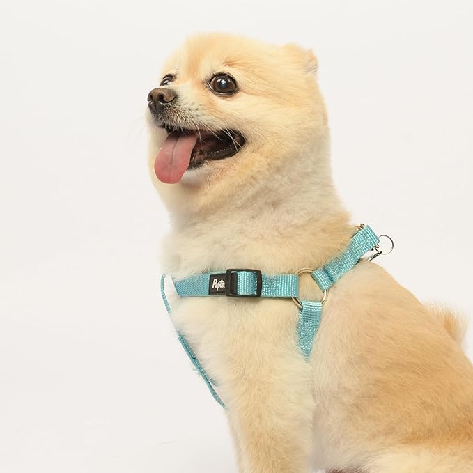 PUPTECK No Pull Dog Harness Soft Adjustable Basic Nylon Step in Puppy Vest - Image 5