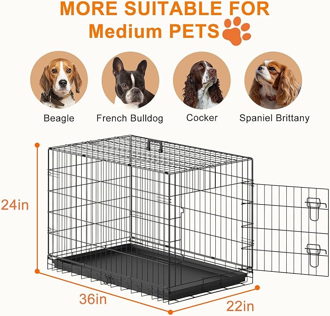 FDW 36" Foldable Metal Dog Crate - Image 5