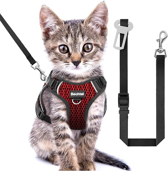 Cat Harness and Leash for Walking Escape Proof Soft Adjustable Cat Leash by BECHTEL