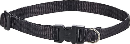 LupinePet Basics 1/2" Black 10-16" Adjustable Collar - Image 2