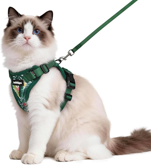 rabbitgoo Cat Harness and Leash Set, Escape Proof Vest Harness by rabbitgoo