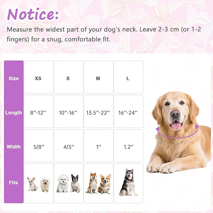 Cute Hot Pink Dog Collar with Bow Print, Spring Summer Puppy Collar with - Image 2