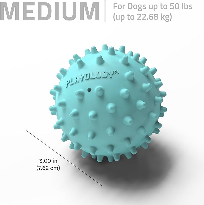 Playology Dog Toys | Squeaky Spiky Chew Ball - Image 5