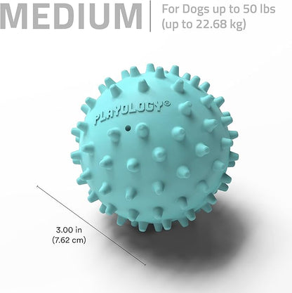 Playology Dog Toys | Squeaky Spiky Chew Ball - Image 5