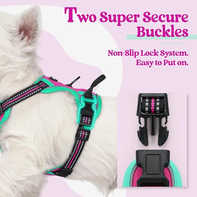 rabbitgoo Dog Harness No Pull - Image 3