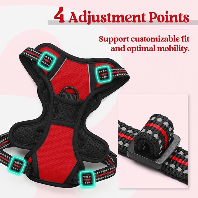 rabbitgoo Dog Harness No Pull - Image 4