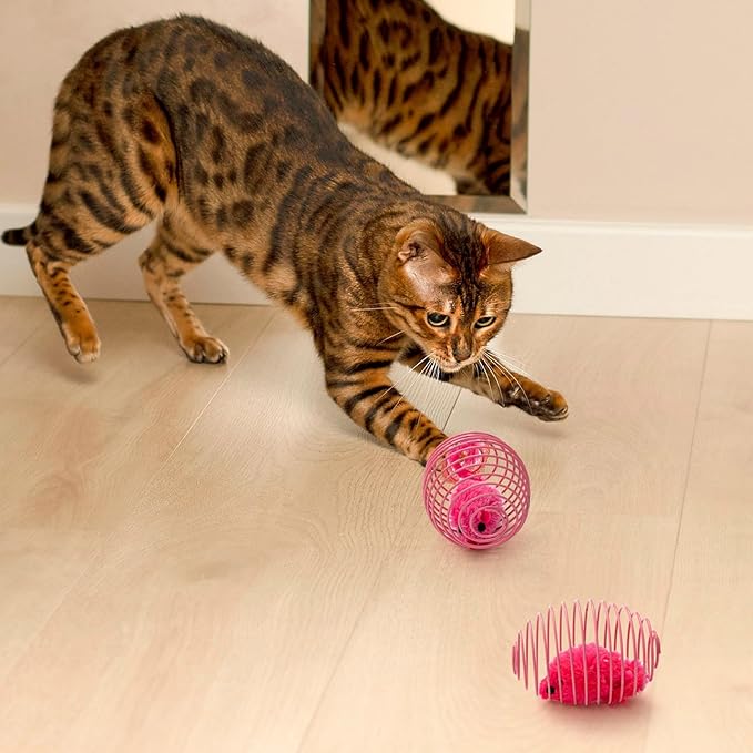 Jecery 5 Pcs Cat Spring Balls Toys Stretchable Rolling Balls Colorful Playful - Image 4