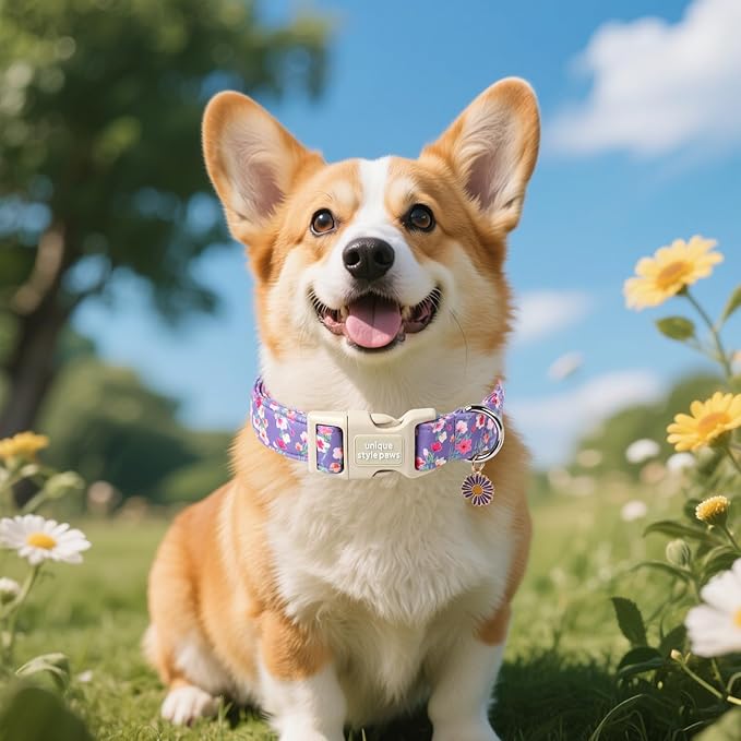 Unique style paws Dog Collar Plastic Buckle - Image 5