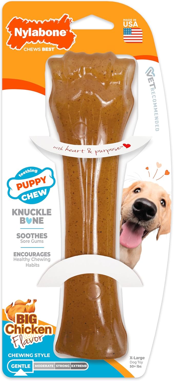 Nylabone Puppy Chew Knuckle Bone by Nylabone