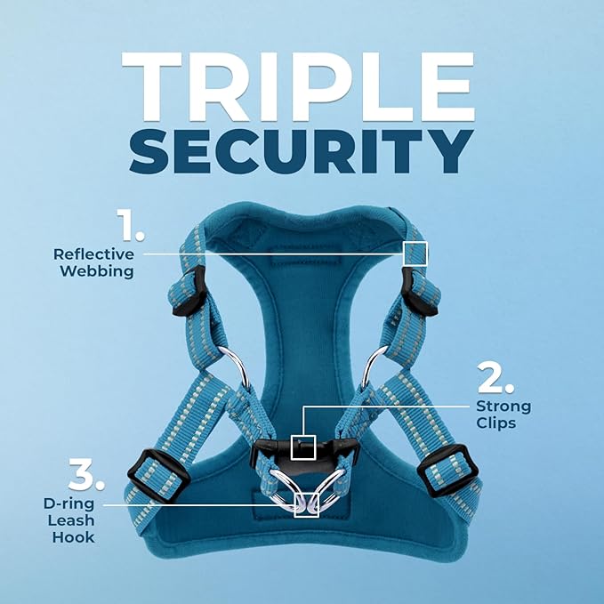Best Pet Supplies Voyager Adjustable Step-in Flex Breathable Mesh Dog Harness - Image 2