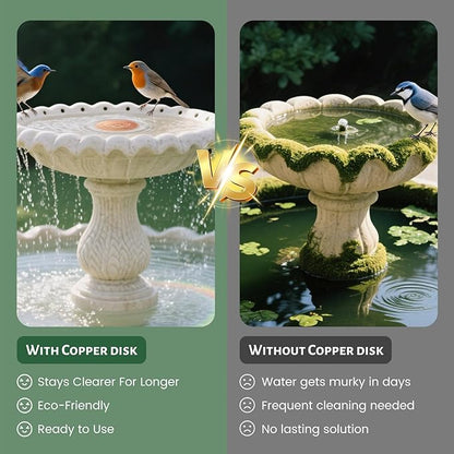 Bird Bath Copper Disk, 4 Inch 0.6mm Thick 99.9% Pure Copper Disc - Image 2